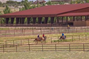 Arizona Horse Photographer